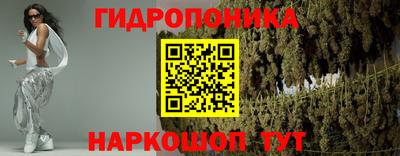 прущие грибы Кимры