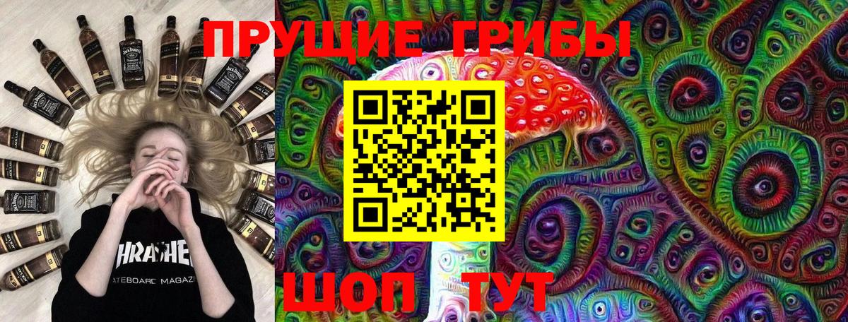 Красноармейск  Галлюциногенные грибы GOLDEN TEACHER  Вход с VPN 