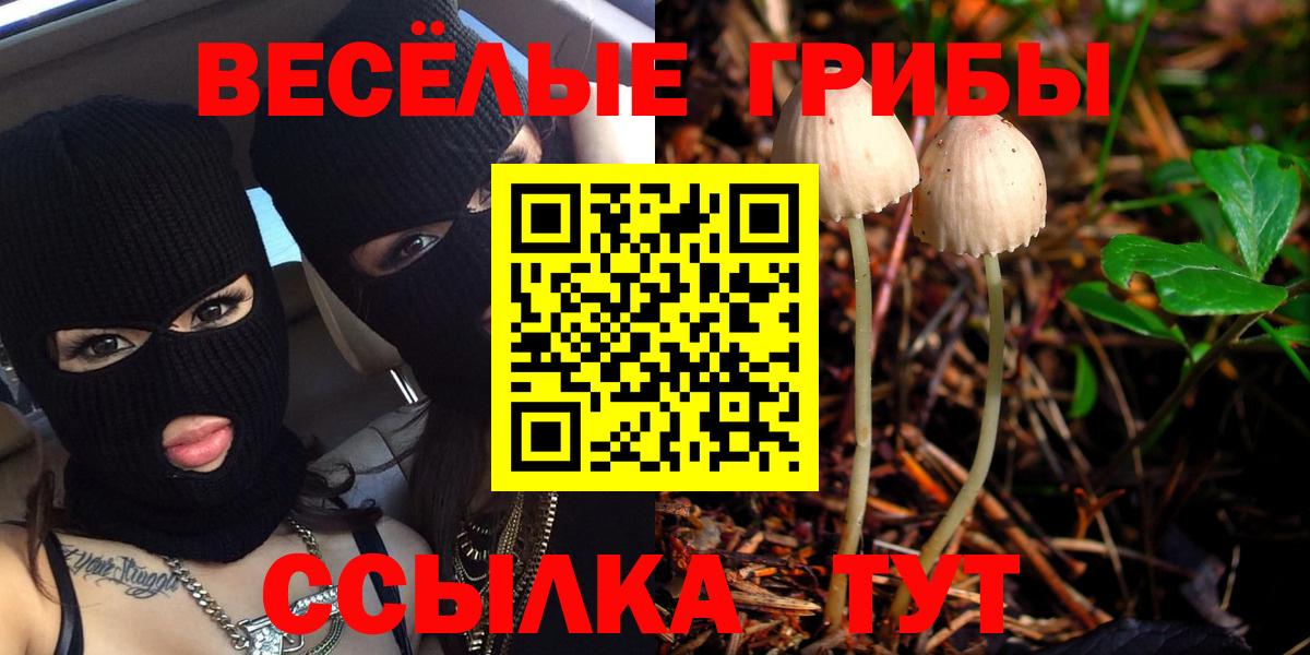 Псилоцибиновые грибы Magic Shrooms Красноармейск